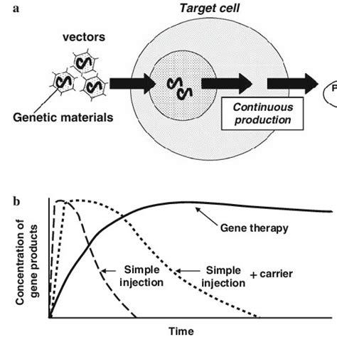 Schematic representation of gene therapy. a Gene therapy proposes a ...