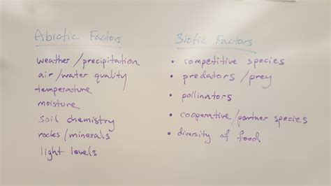 Ecology Notes: Ecosystem Organization