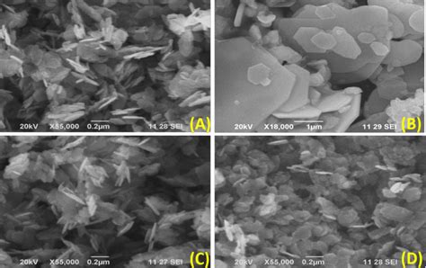 SEM Of A ZnO B WS2 C ZnO WS2 5 And D ZnO WS2 10 Nanohybrid