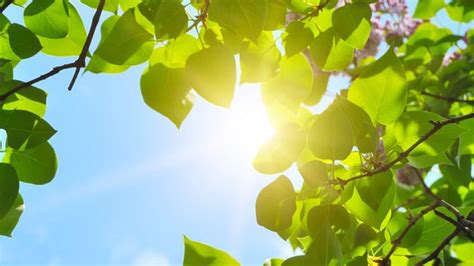 Previsioni Meteo San Severo Fino A Giorni Meteo It