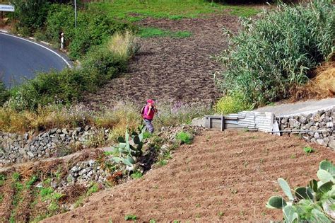 Camino Valleseco Valsendero Fontanales Caminos De Canarias