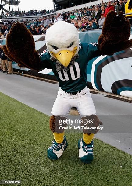 Philadelphia Eagles Mascot Photos and Premium High Res Pictures - Getty ...