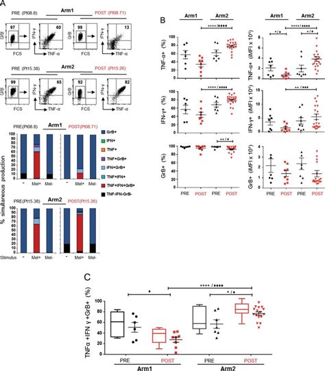 Melan A Specific CD8 C T Cells Exhibit An Enhanced Polyfunctional