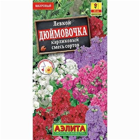 Левкой карликовый Дюймовочка, смесь окрасок Аэлита (98993): купить ...