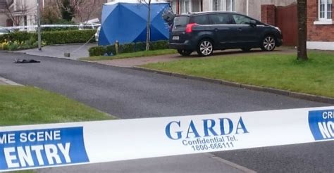 Gardaí Appeal For Witnesses After Man Shot Dead In Co Meath Newstalk