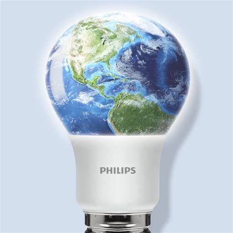 Led Vs Cfl Incandescent Light Bulbs | Shelly Lighting