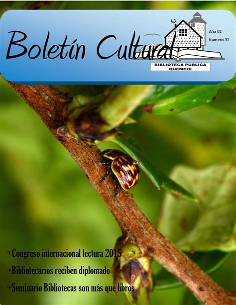 Boletin Cultural Noviembre By Biblioteca Quemchi Issuu