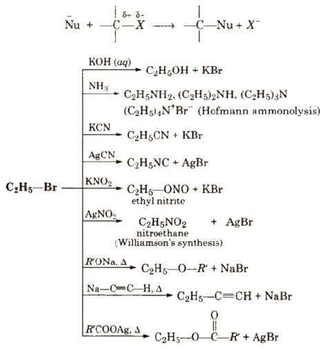 Cbse Notes Class Chemistry Haloalkanes And Haloarenes