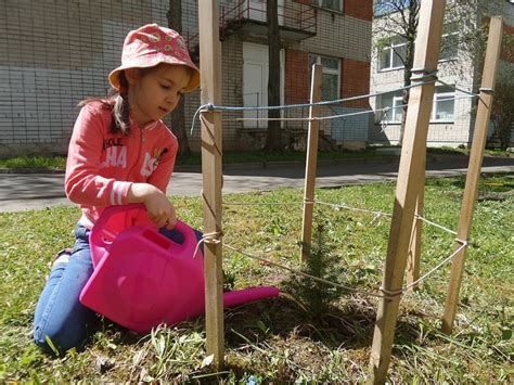 Plantinstructies Voor Het Planten Van Een Fruitboom Fruitbomen Net