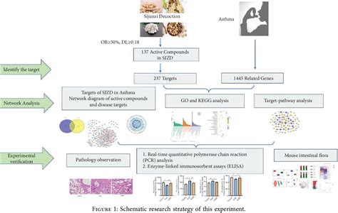 Figure 1 From Integrated Network Pharmacology And Gut Microbiota Analysis To Explore The