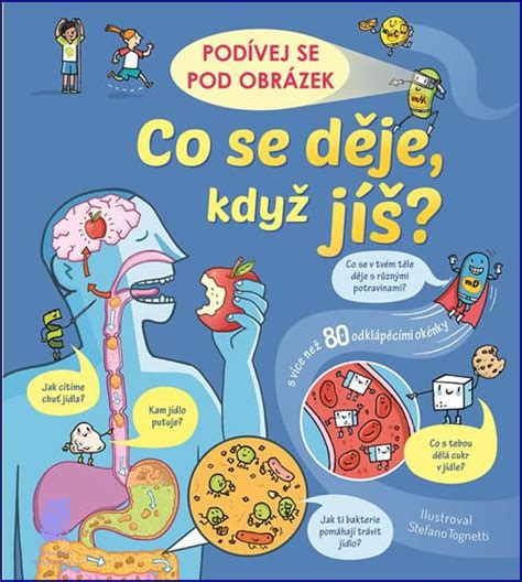 Co Se D Je Kdy Um R Lov K Jak Vypad Jen Magazin