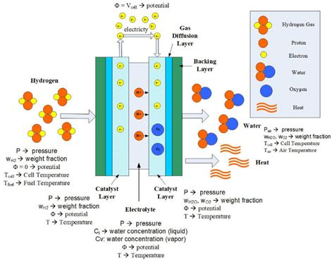 Fuel Cell Modeling