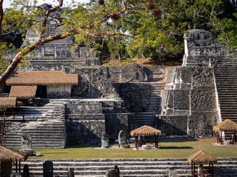 Visiting Tikal in Guatemala: Everything you need to know