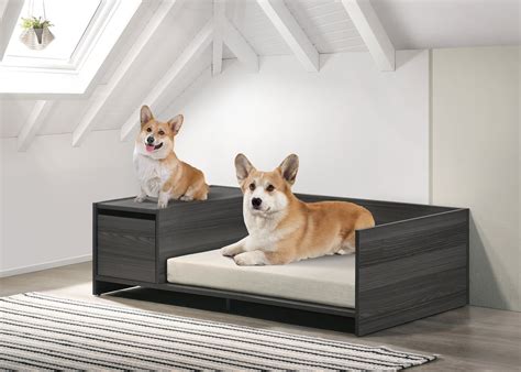Pet Bed — Lilola Home