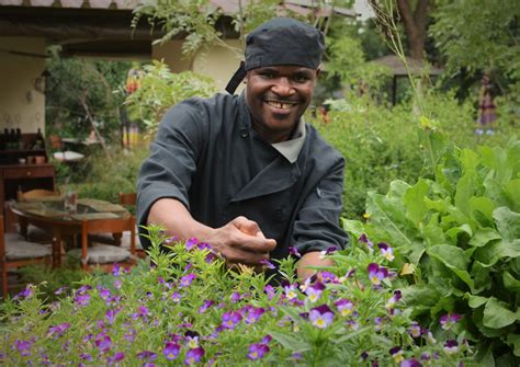 Random Harvest Indigenous Plant Nursery Tea Garden Johannesburg