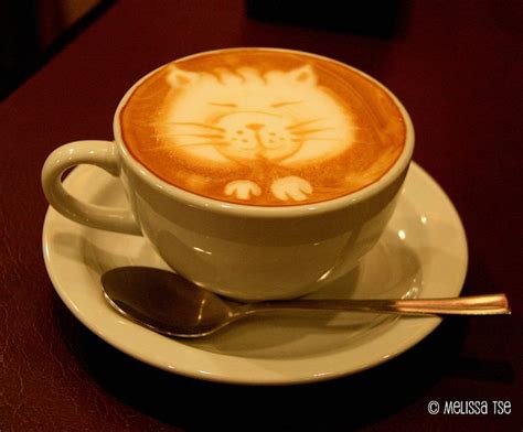 Cat Latte Art