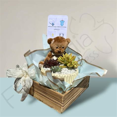 Peluche y Suculentas Para Bebés Florilandia Express