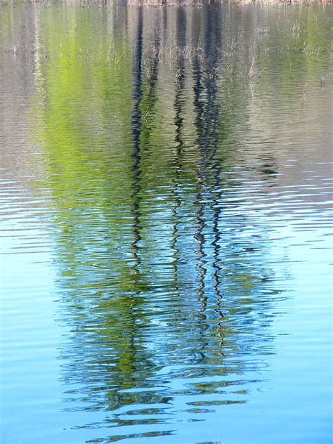 Reflected Twin Trees Stanley Zimny Thank You For 67 Million Views