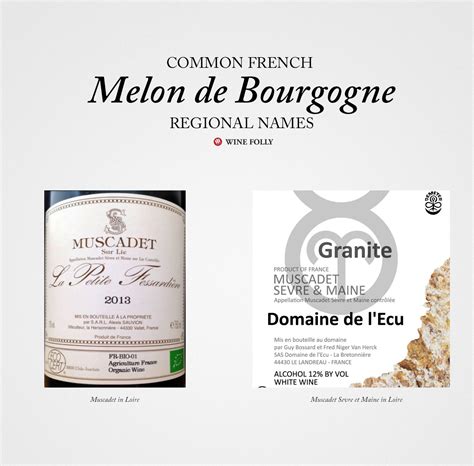 An Overview Of French White Wines Wine Folly