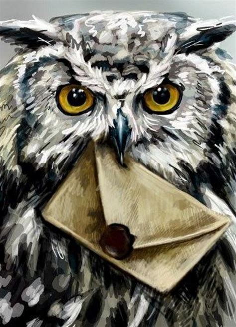 Harry Potter S Owl Delivering A Letter Harry Potter Pinterest Owl