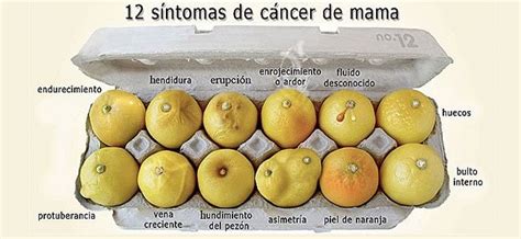 Condicional recinto Garantizar 5 señales de cancer de mama felicidad ...