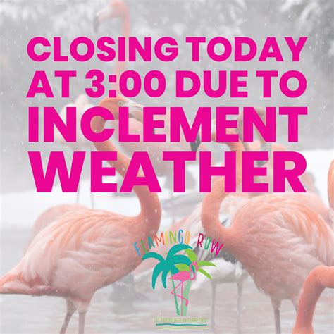 Flamingo Row | Paducah KY