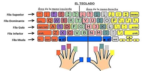 Informática Sexto Grado Itsdz Uso Y Manejo Correcto Del Teclado