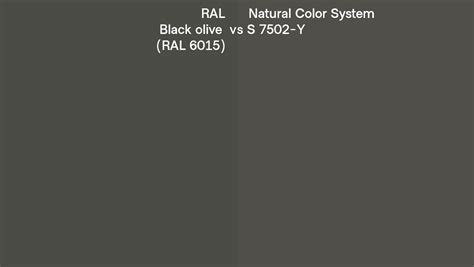 Ral Black Olive Ral 6015 Vs Natural Color System S 7502 Y Side By