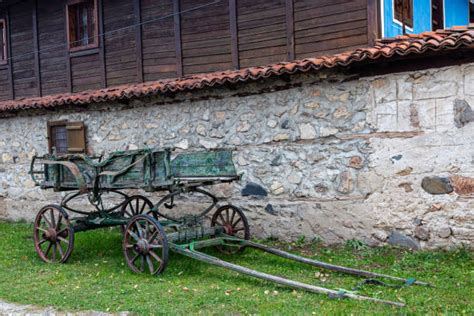 20+ Wagoon Stock Photos, Pictures & Royalty-Free Images - iStock