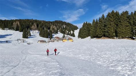 Le Migliori Esperienze Da Fare Sull Altopiano Di Asiago Holidoit