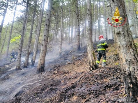 Allarme Incendi Il Veneto Dichiara Lo Stato Di Grave Pericolosit