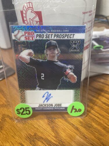 Leaf Pro Set Metal Jackson Jobe Pso Jj Rc Auto Tigers Ebay