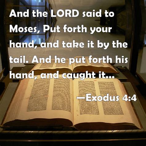 Exodus 4:4 And the LORD said to Moses, Put forth your hand, and take it ...