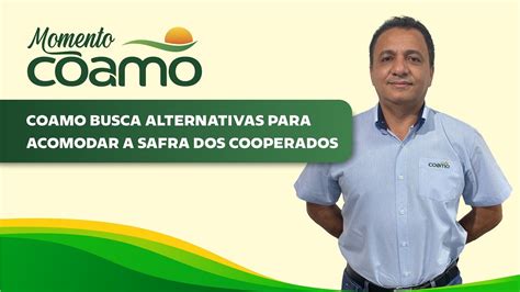 Momento Coamo Cooperativa Busca Alternativas Para Acomodar A Safra Dos