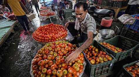 Why Tomato Prices Are Likely To Hit Rs 300 Per Kg In 2023 Inventiva