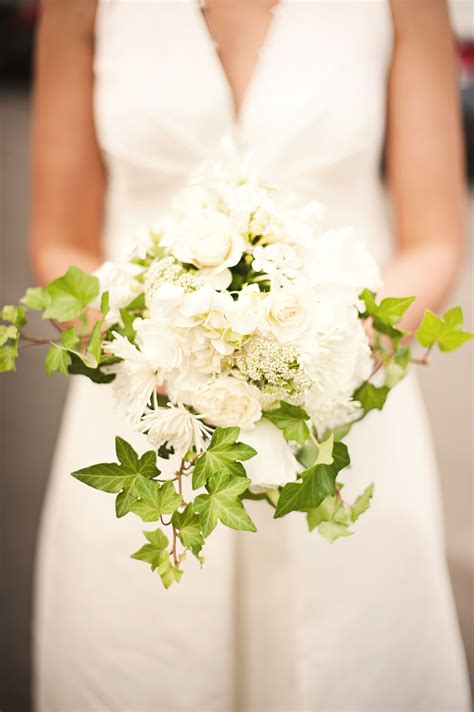 Ivy With Large White Flowers