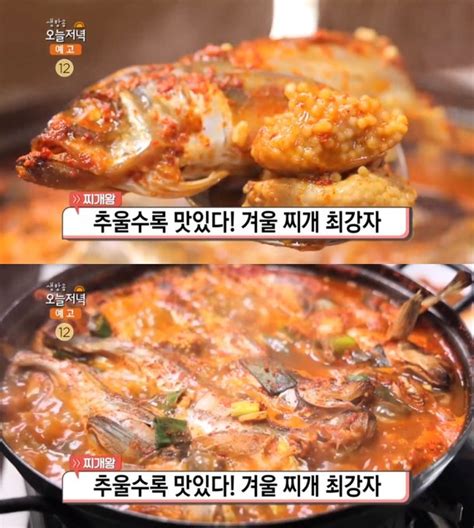 생방송오늘저녁 찌개왕 속초 도루묵찌개·도치알탕 맛집 위치는 문어골뱅이볶음·오징어전골 外 네이트 연예