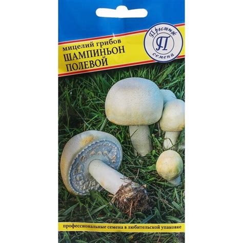 Шампиньон Полевой (мицелий грибов). Один из лучших по вкусовым ...