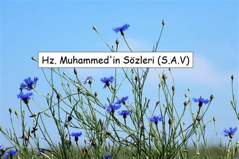 Hz Muhammedin Sözleri S A V Gelecekten Net