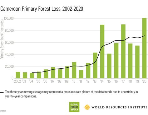 Primary Forest Loss In Congo Basin Escalates In 2020