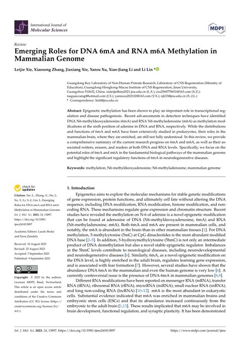 Pdf Emerging Roles For Dna 6ma And Rna M6a Methylation In Mammalian