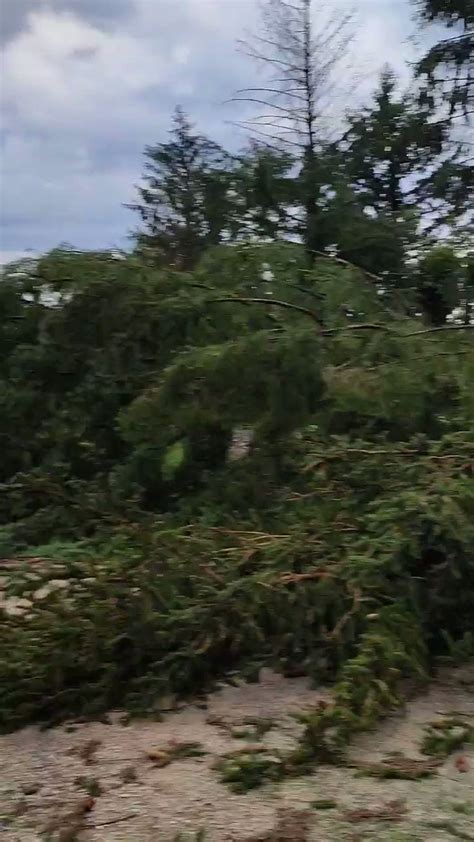 Meteo On Twitter Nombreux D G Ts Pr S De Lons Le Saunier En Fin De