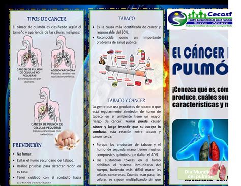 Triptico pulmón comunicación y técnicas de aprendizaje pulmones