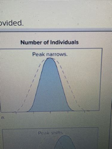 Biology 1406 Chapter 16 Quiz: Key Terms & Definitions Flashcards | Quizlet 