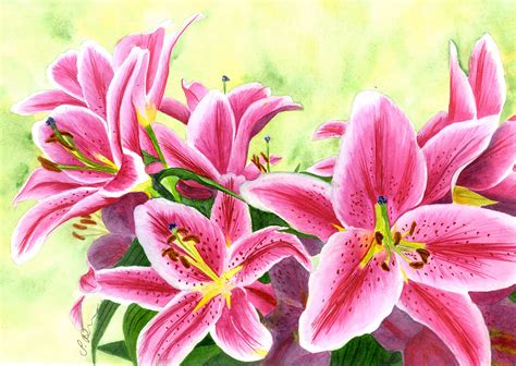 Stargazer Lilies Original Watercolour Painting Flower Painting Fine