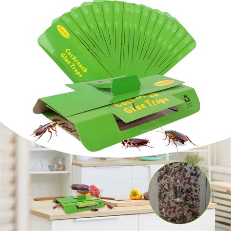 Buy 18 Pack Roach Traps Indoor Roach Killer Indoor Infestation ...