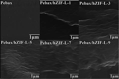 Introducing Hydrophilic Ultra Thin Zif L Into Mixed Matrix Membranes