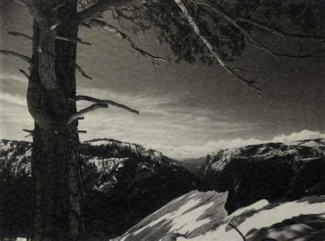 The Photograph That Made Ansel Adams Famous