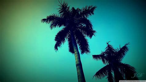 X Resolution Two Green Coconut Trees Palm Trees Nature Hd