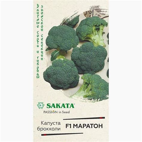Капуста листовая (кале) Скарлет Гавриш 🍀 Купить семена - Цена 19 руб